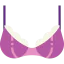 Brassiere icon 64x64