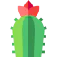 Cactus 상 64x64