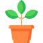 Plant іконка 64x64