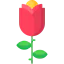 Rose іконка 64x64