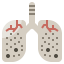 Lung cancer icon 64x64
