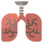 Lungs ícono 64x64