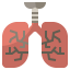 Lungs icon 64x64