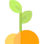 Sprout icon 64x64