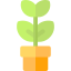 Plant icon 64x64