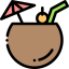 Coconut アイコン 64x64