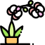 Orchid アイコン 64x64