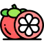 Mangosteen アイコン 64x64