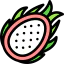 Dragon fruit アイコン 64x64