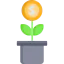 Growth icon 64x64