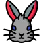 Rabbit icon 64x64