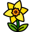 Daffodil icon 64x64