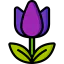 Tulip іконка 64x64