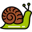 Snail іконка 64x64