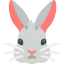 Rabbit icon 64x64