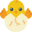 Chick icon 64x64