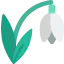 Snowdrop 图标 64x64