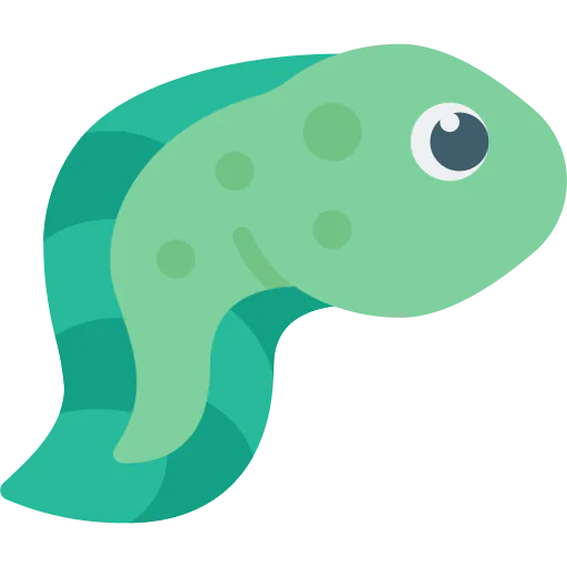 Tadpole icon