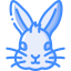 Rabbit icon 64x64