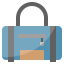 Sport bag icon 64x64