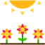 Spring icon 64x64