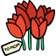 Tulips 图标 64x64