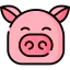 Pig icon 64x64