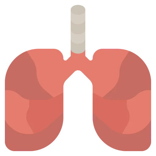 Lungs icon