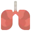Lungs 상 64x64