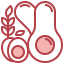 Ketogenic diet icon 64x64