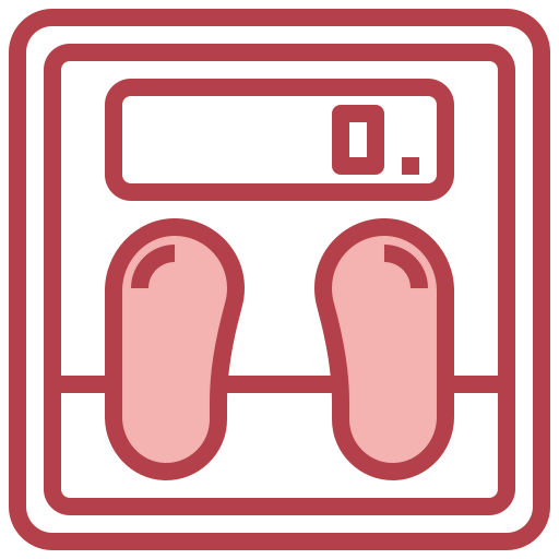 Scale icon