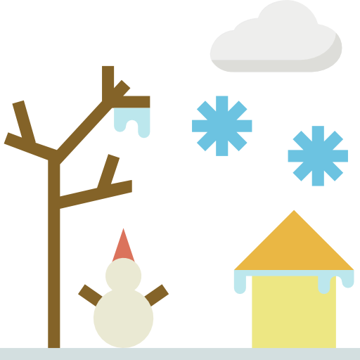 Winter icon