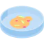 Petri dish icon 64x64