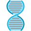 Gene іконка 64x64