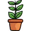 Plant ícone 64x64