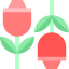 Rose icon 64x64