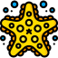 Starfish icon 64x64