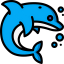 Dolphin icon 64x64