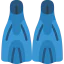 Flippers icon 64x64