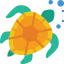 Turtle biểu tượng 64x64