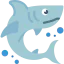 Shark biểu tượng 64x64