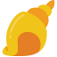 Shell biểu tượng 64x64