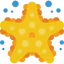 Starfish biểu tượng 64x64