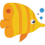 Fish biểu tượng 64x64