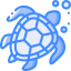 Turtle icon 64x64