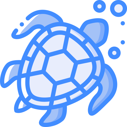 Turtle icon
