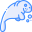 Manatee icon 64x64