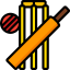 Cricket icon 64x64