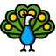 Peacock icon 64x64