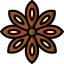 Anise icon 64x64